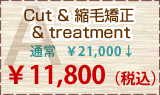 A Cut���k�ы�����treatment